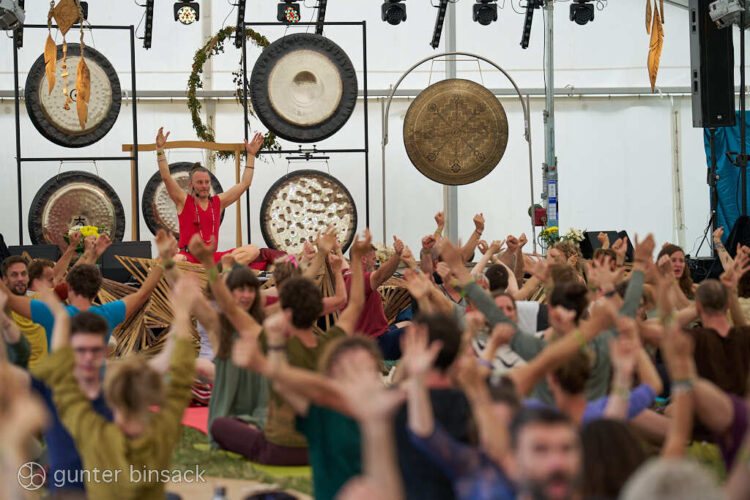 Cat & Cow Festival
