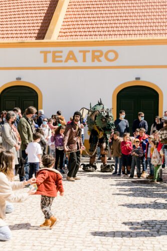Festival Papagaio