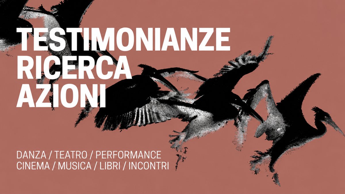 Testimonianze Ricerca Azioni