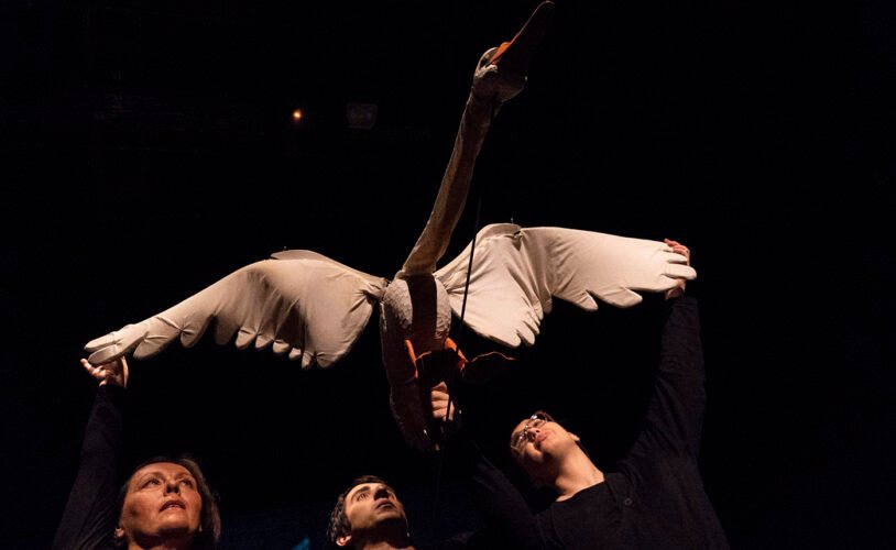 International Puppet Art Festival (FLUM)