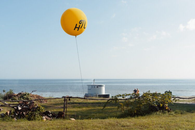 Homo Novus Festival
