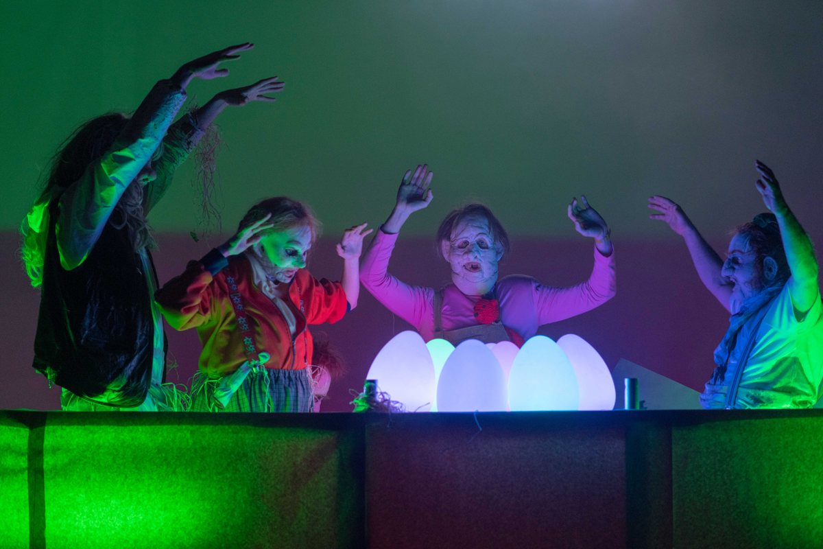 International Forest Festival